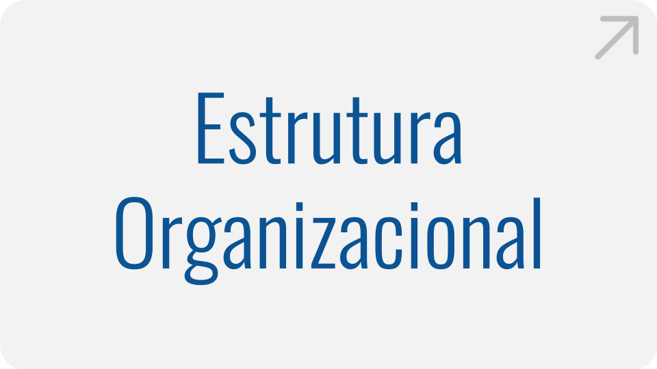 Estrutura Organizacional