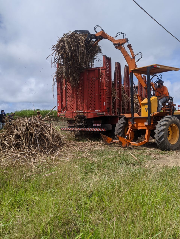 Carregadeira de cana cedida pelo Engenho Triunfo.png