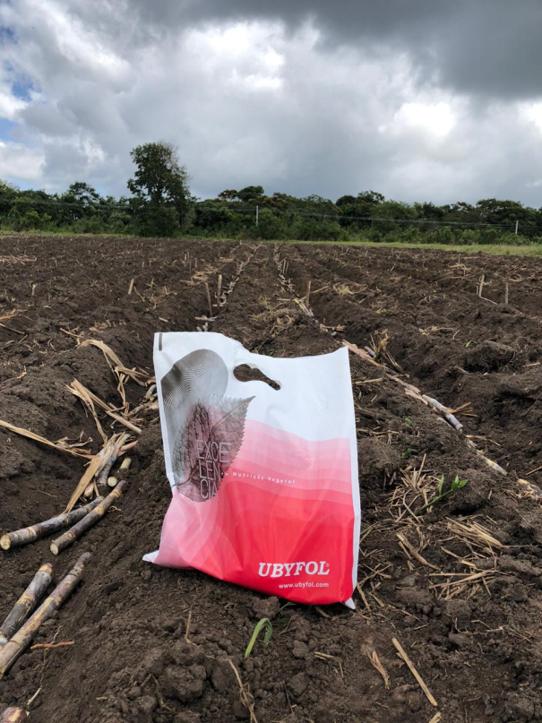 Plantio realizado em parceria com a Ubyfol.png