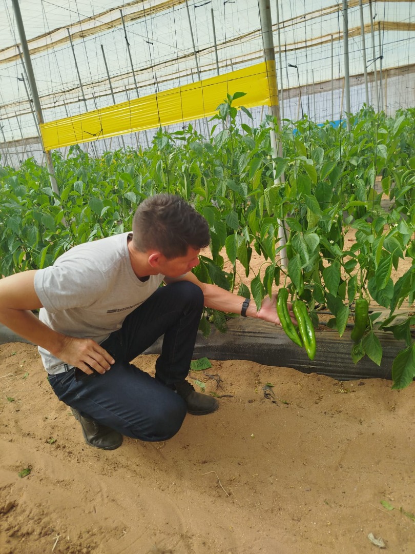 WhatsApp Image 2025-02-26 at 15.26.14.jpeg