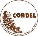 Cordel - Docentes.jpg